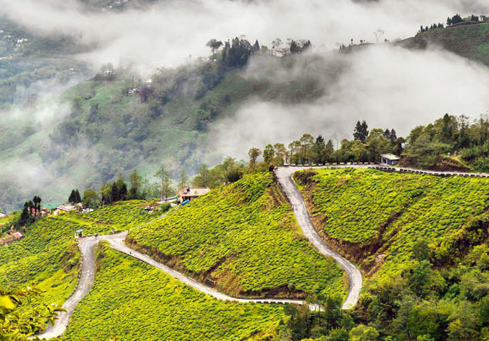 mesmerizing darjeeling gangtok
